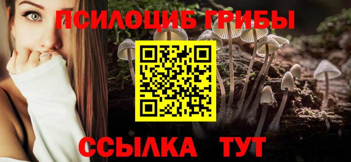 Галлюциногенные грибы Magic Shrooms Шадринск