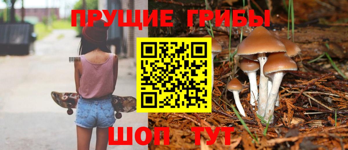 Галлюциногенные грибы прущие грибы  сколько стоит  Шадринск  Псилоцибиновые грибы ЛСД  Вход с VPN 